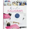 Oklassificerat Bok Kreativ kalligrafi