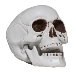 Panduro Hobby Dödskalle av plast för halloween-dekoration. Storlek ca 10×10×10 cm