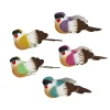 Panduro Hobby Dekorationsfåglar i glada färger, 5-pack 8×4×4 cm | Övrigt
