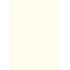 Folia A4 300g Pärlvit 10 st