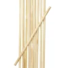 Panduro Hobby Halvstav av björk för DIY-projekt, 10-pack H: 2 cm L: 60 cm | Rundstavar & Pinnar
