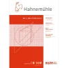 Hahnemühle Millimeterblock A4 50 blad | Block