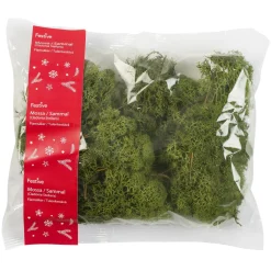 Hedlund Mossa grön 100 g