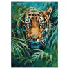 Panduro Hobby Paint by number / måla efter nummer – tiger, 25×35 cm + 18 färger & 3 penslar | Övriga Färger