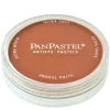 PanPastel torrpastell på burk, Burnt Sienna Tint 740.8