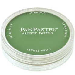 PanPastel torrpastell på burk, Chromium Oxide Green 660.5 | Kritor