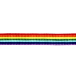 Panduro Hobby Rainbow ribbon 25mm/4m | Polyester