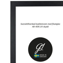 G1 Galleriet Ram 2E svart 18x24cm | Ramar