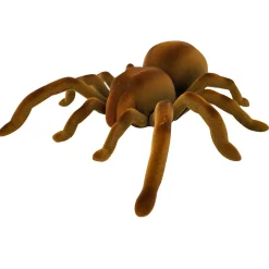 Barn Oklassificerat Real Wild Giant Spider – den supersnabba jättespindeln