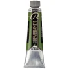 Rembrandt oljefärg 40 ml Sap Green - 623