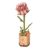 Robotime Rolife DIY Wooden Flower 3D-pussel träblomma TW041 Pink Rose 85×65×210 mm | Grundsatser