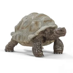 Schleich jättesköldpadda | Barn Smådjur