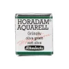 Schmincke Horadam akvarellfärg ½ kopp – Green earth 516