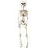 Panduro Hobby Skelett för halloween – 29 cm högt | Övrigt