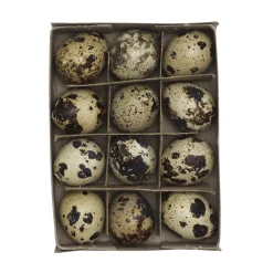 Decoris Spräckliga vaktelägg, äkta tömda äggskal. 12 st. Ø 2,5cm, längd 3,5 cm | Dekorägg & Tillbehör