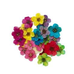 Panduro Jewellery Torkade blommor för att dekorera charms & hängen med UV. Avsedd för artikel 806421 | Grundsatser & Startkit