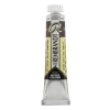 Rembrandt Water col 20ml Chamel go/re/vi