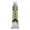 Rembrandt Water col 20ml Hooker green dp