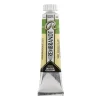 Rembrandt Water col 20ml Hooker green lt | Akvarell- & Vattenfärger