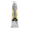 Rembrandt Water col 20ml Silver