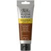 Winsor & Newton Galeria akrylfärg 120 ml Burnt Sienna Opaque 077 | Akrylfärger