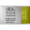 Winsor & Newton Professional akvarellfärg helkopp Oxide of Chromium 459