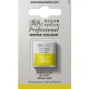 Winsor & Newton Professional akvarellfärg halvkopp Hooker´s Green 311