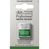 Winsor & Newton Professional akvarellfärg halvkopp Payne'S Gray 465