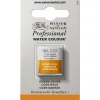 Winsor & Newton Professional akvarellfärg halvkopp Brown Ochre 059 | Akvarell- & Vattenfärger
