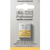 Winsor & Newton Professional akvarellfärg 14 ml Perylene Green 460