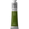 Winsor & Newton Winton oljefärg 200 ml Sap Green 599 | Oljefärger